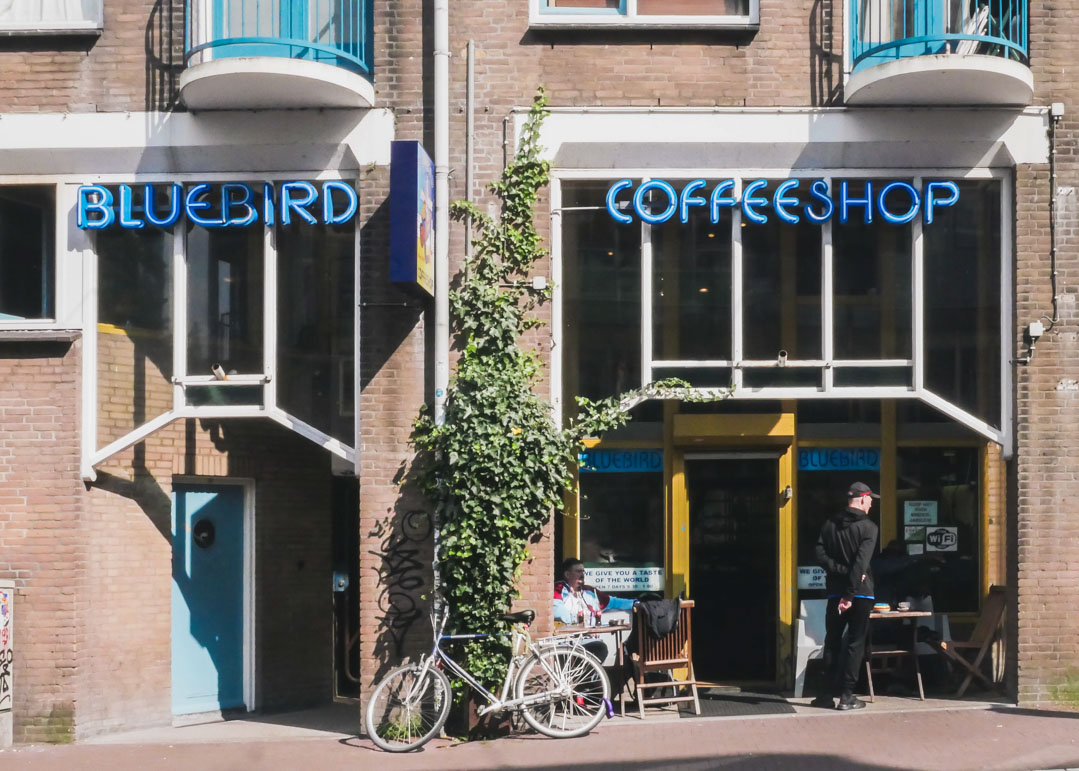 Front façade of Bluebird Coffeeshop 